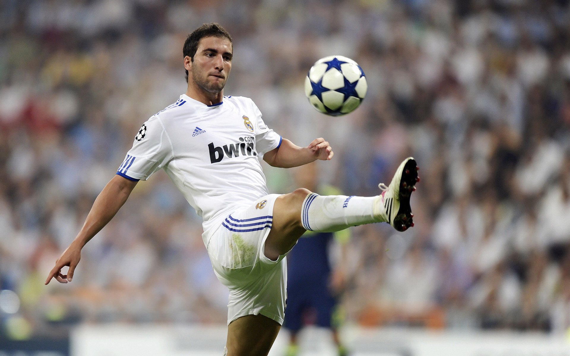 九游娱乐入口-“阿根廷美洲狮队用实力证明了自身的世界级地位”